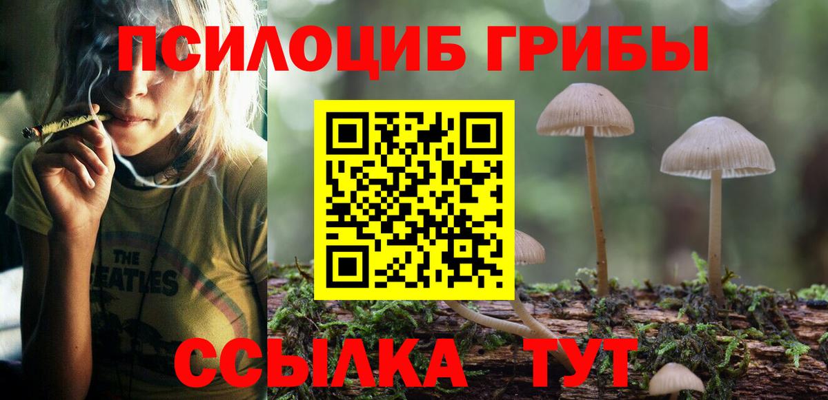цены   Галлюциногенные грибы GOLDEN TEACHER  Галлюциногенные грибы Cubensis  Вход с VPN  Черкесск 