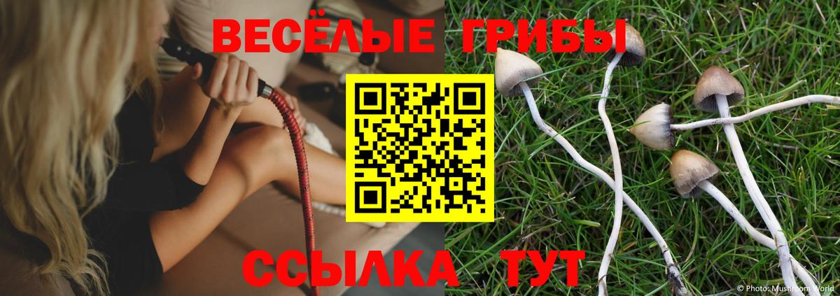 Галлюциногенные грибы Magic Shrooms Черкесск