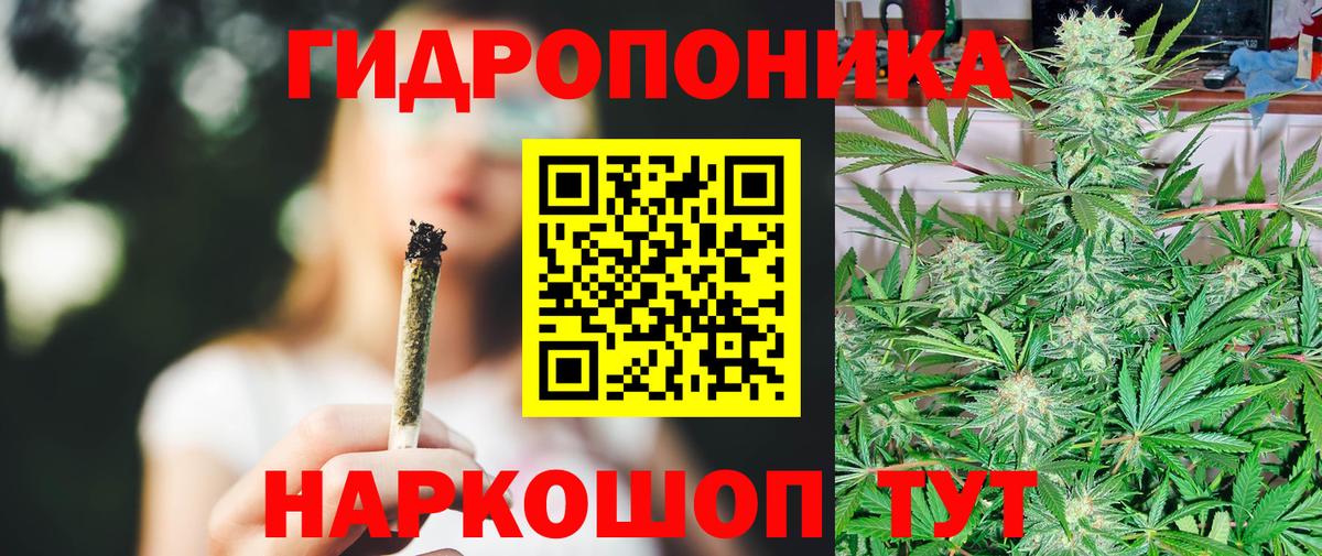 Бошки Шишки сатива  Конопля AK-47  Бошки Шишки VHQ  Черкесск  Бошки Шишки Amnesia  Вход с VPN 